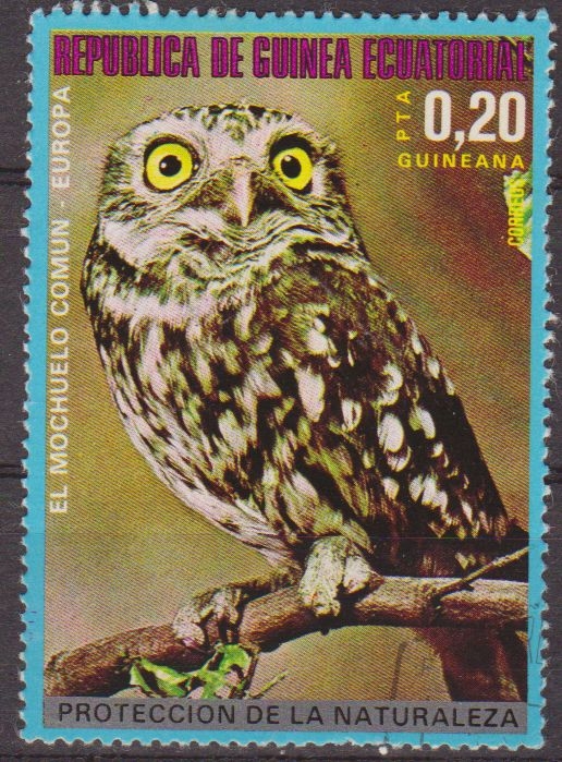 z vendido Guinea Ecuatorial 1976 Sello * Fauna Animales 17 Pajaros Europeos El Mochuelo 0,20p Guinée Equatoriale Preobliteré Matasello de favor Preobliterado 